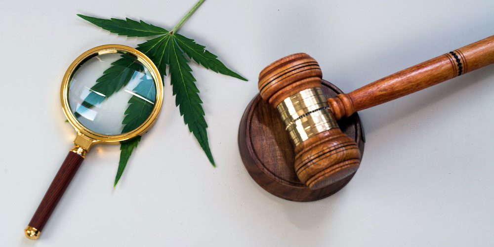 Interpretation of sate cannabis guidelines
